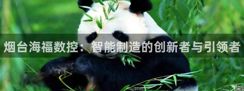天辰平台娱乐