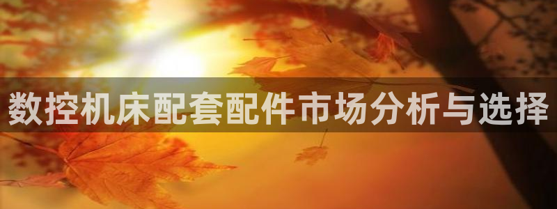 天辰娱乐娱乐注册:数控机床配套配件市场分析与选择