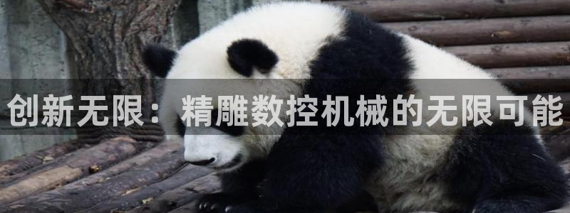 天辰娱乐的网址首页