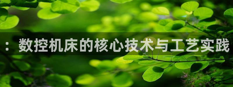 天辰宝娱乐