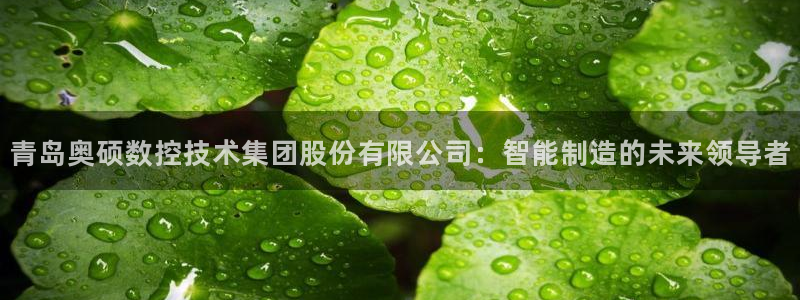 天辰娱乐1966