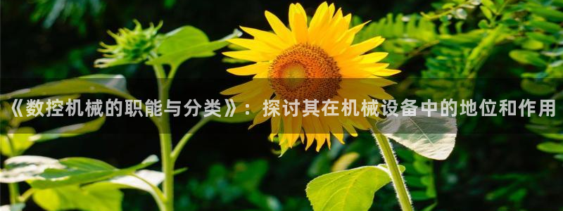 天辰娱乐官方登录入口:《数控机械的职能与分类》:探讨其在机械设备中的地位和作用