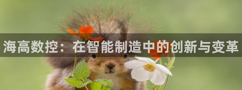 天辰天富娱乐登录