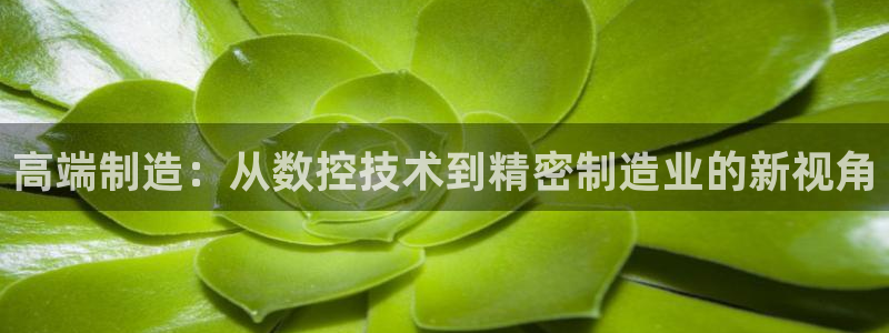天辰娱乐官