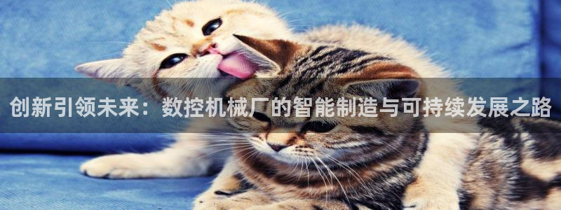 天辰娱乐海洋