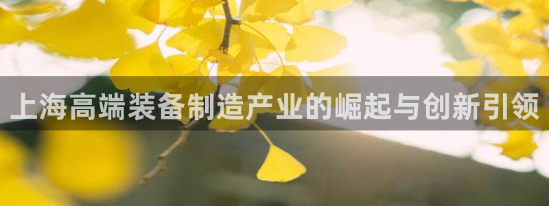 天辰 娱乐注册：上海高端装备制造产业的崛起与创新引领