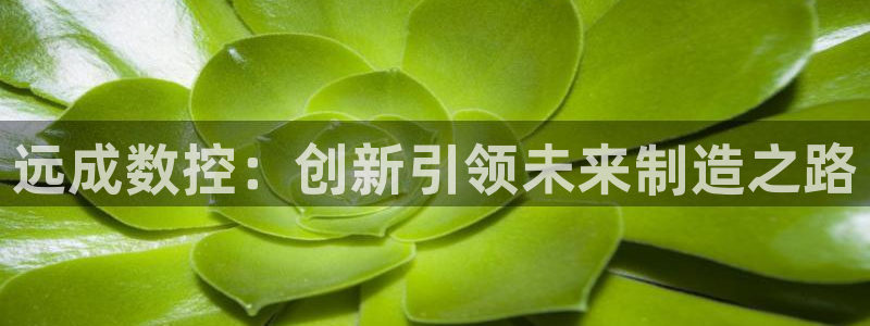 天辰娱乐输了