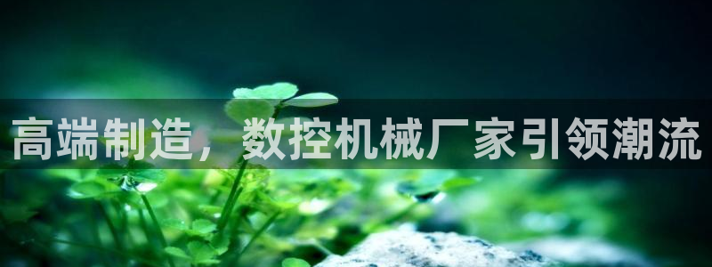 天辰娱乐小妹