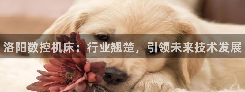 天辰娱乐小姐