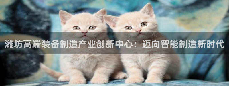 广东天辰娱乐