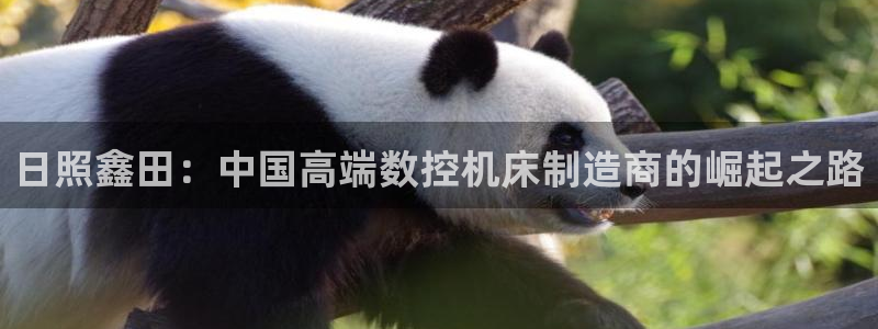 天辰娱乐1980：日照鑫田：中国高端数控机床制造商的崛起之路