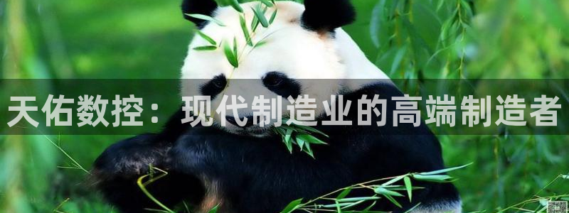 天辰app娱乐：天佑数控：现代制造业的高端制造者