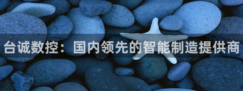 天辰娱乐股东