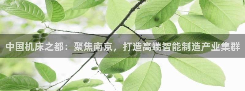 天辰娱乐测试