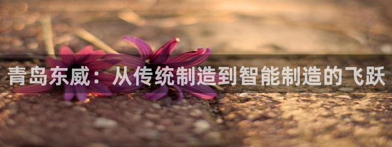 天辰娱乐平台