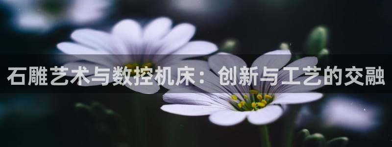 天辰娱乐在哪：石雕艺术与数控机床：创新与工艺的交融