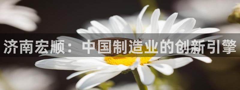 天辰娱乐开户：济南宏顺：中国制造业的创新引擎