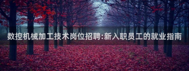 天辰娱乐 849852