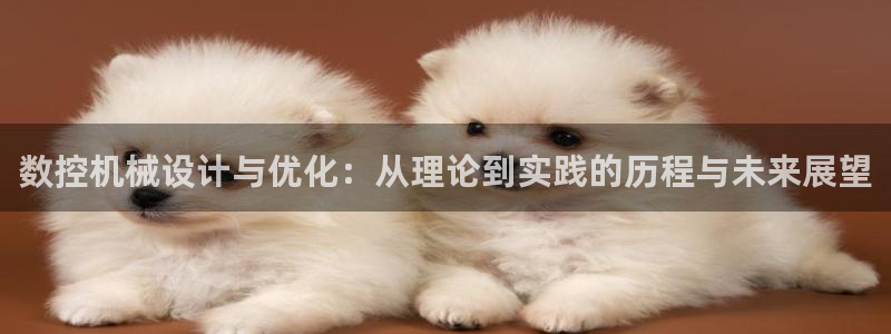 天辰天辰娱乐