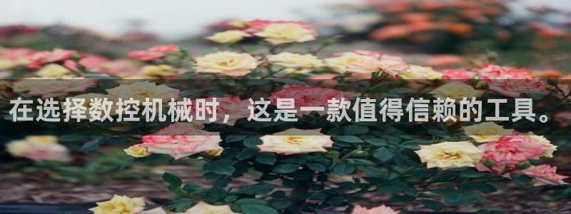 天辰娱乐招商