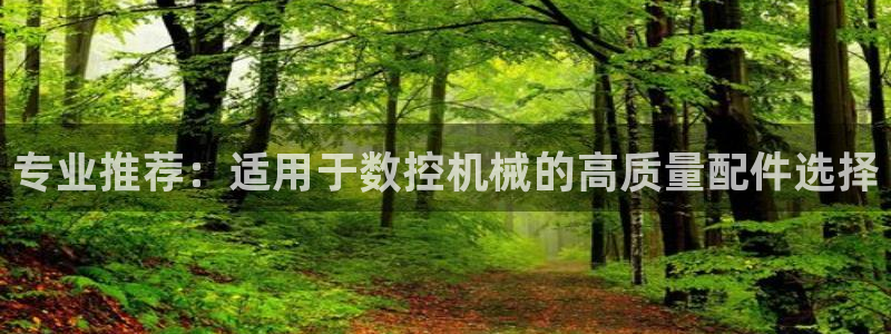 天辰娱乐黑人