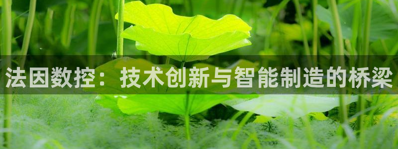 天辰 娱乐注册：法因数控：技术创新与智能制造的桥梁