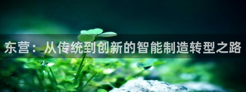 天辰娱乐39596：东营：从传统到创新的智能制造转型之路