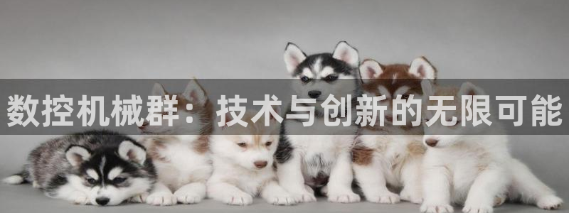 天辰娱乐注册：数控机械群：技术与创新的无限可能