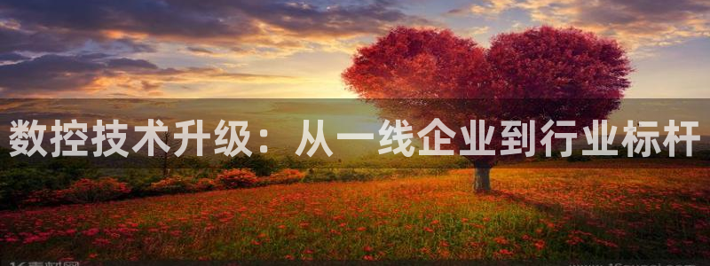 天辰娱乐公司
