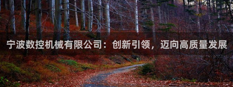 天辰登陆娱乐：宁波数控机械有限公司：创新引领，迈向高质量发展