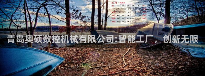天辰娱乐官网平台入口：青岛奥硕数控机械有限公司:智能工厂，创新无限