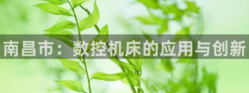 天辰娱乐 主管