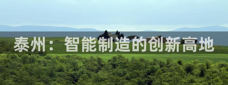 广东天辰娱乐