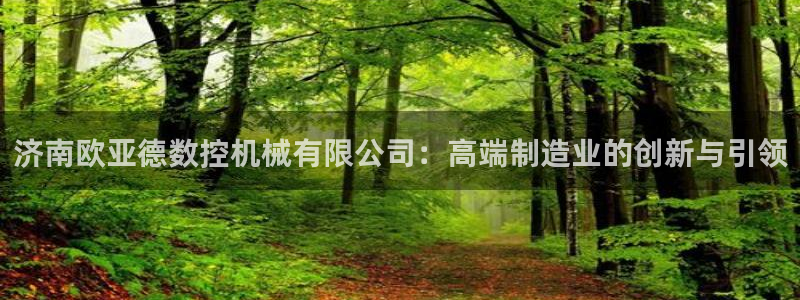 天辰国际娱乐：济南欧亚德数控机械有限公司：高端制造业的创新与引领