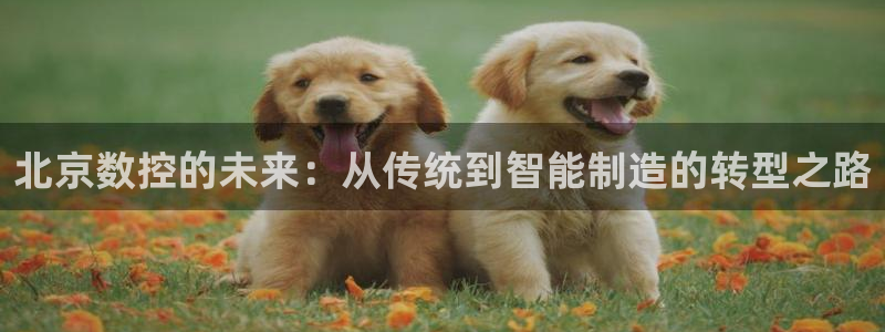 天辰娱乐平台靠谱么