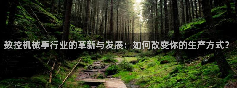 天辰娱乐解封：数控机械手行业的革新与发展：如何改变你的生产方式？