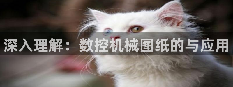 天辰娱乐官网平台入口：深入理解：数控机械图纸的与应用