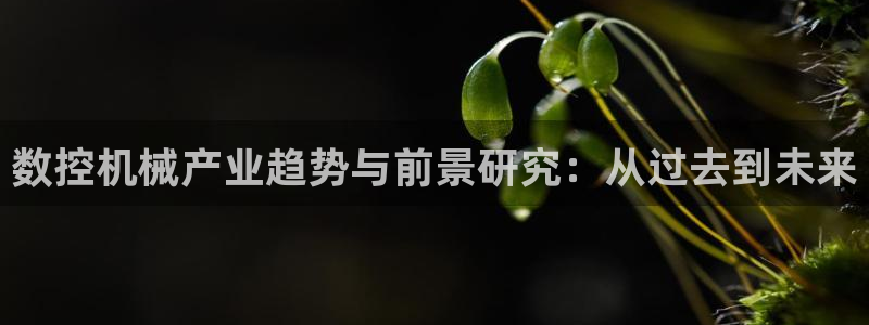 天辰娱乐官方登录下载