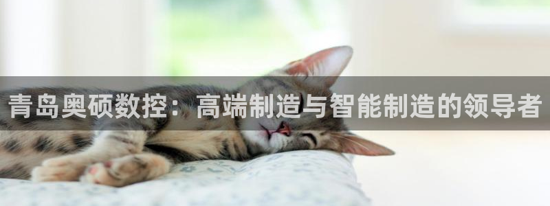 天辰娱乐娱乐：青岛奥硕数控：高端制造与智能制造的领导者