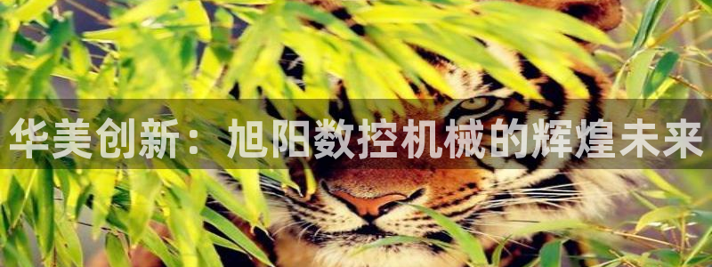 天辰娱乐官网平台下载