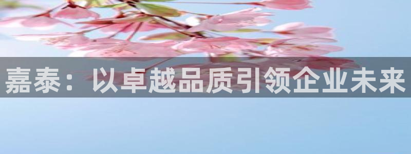 天辰平台娱乐