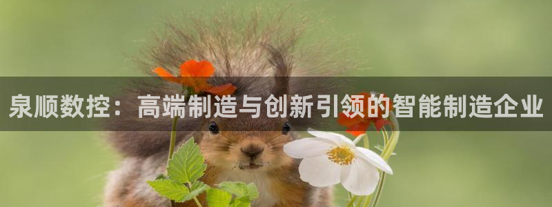 天辰娱乐海洋