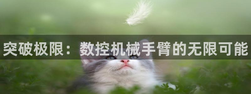 天辰娱乐路线
