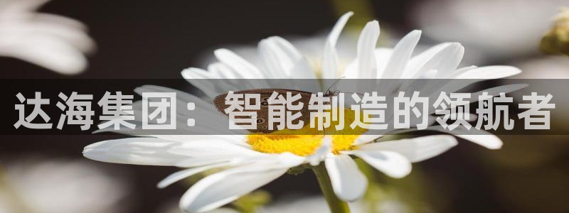 天辰娱乐39974神