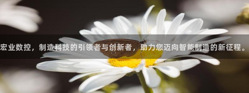 天辰娱乐股票