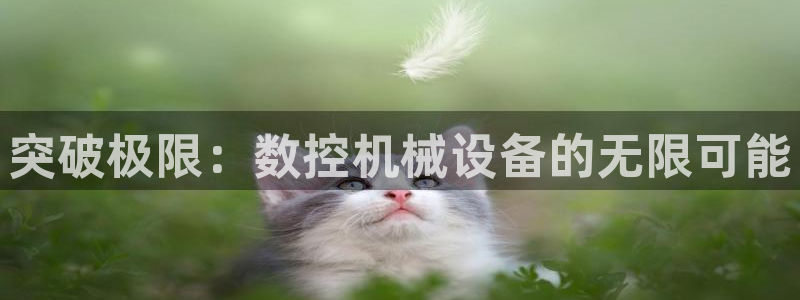 天辰娱乐娱乐