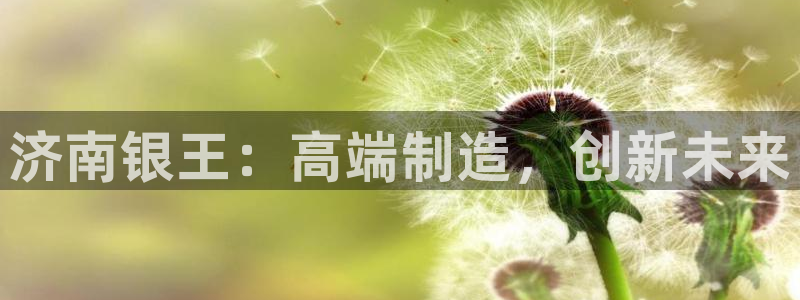 天辰宝娱乐