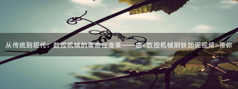 手机上怎么下载天辰娱乐