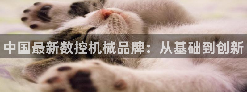 天辰天辰娱乐