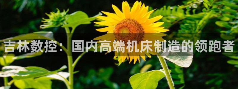 天辰娱乐直属